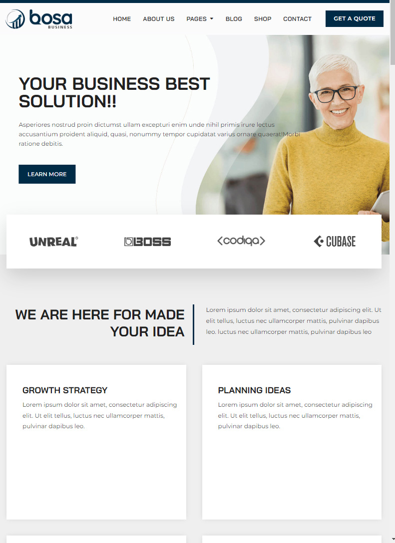 Get website for Bosa Business