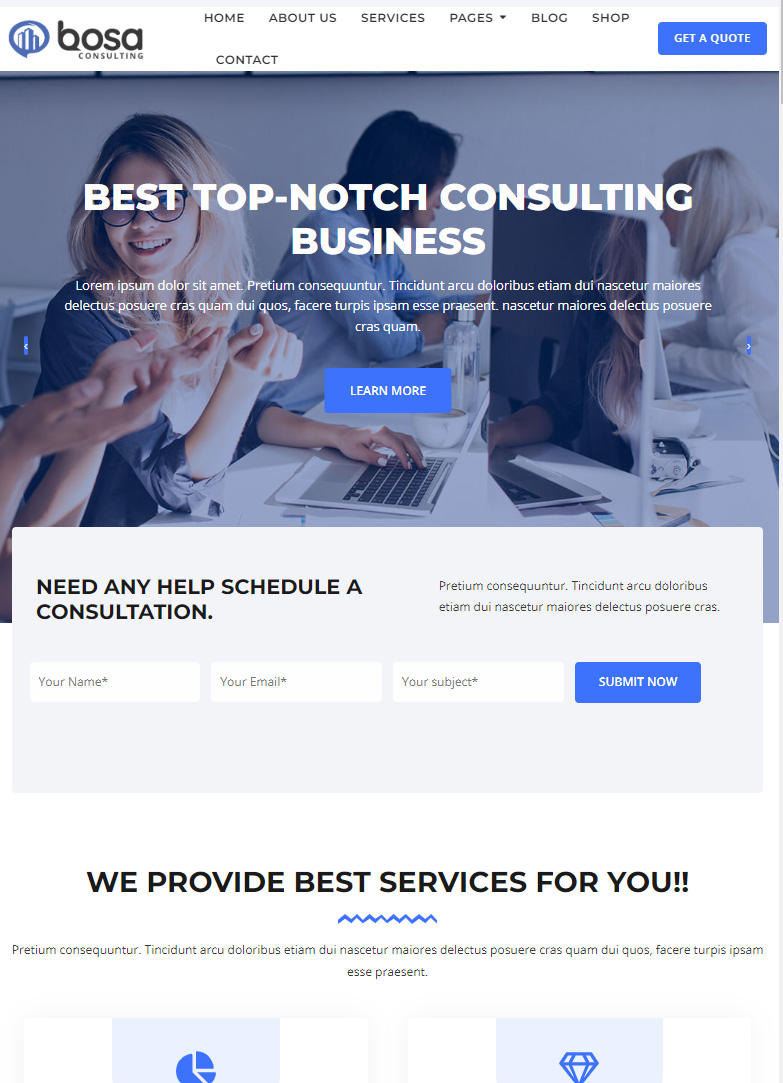 Get website for Bosa Consulting