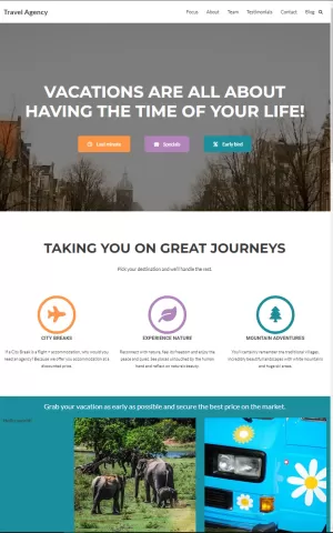 Get website for Travel Agency